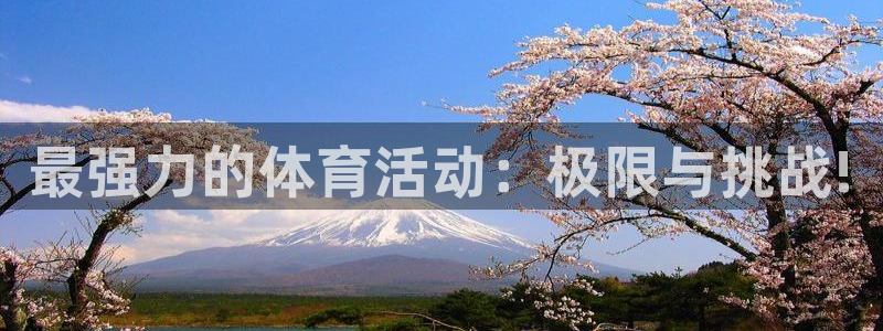 vsport体育在线官网