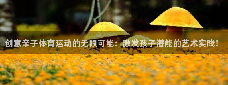 vsport体育在线官网