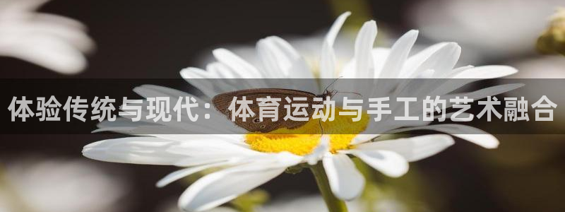 vsport体育在线官网