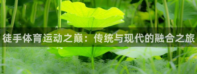 vsport体育在线官网