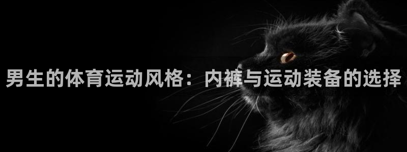 vsport体育在线官网